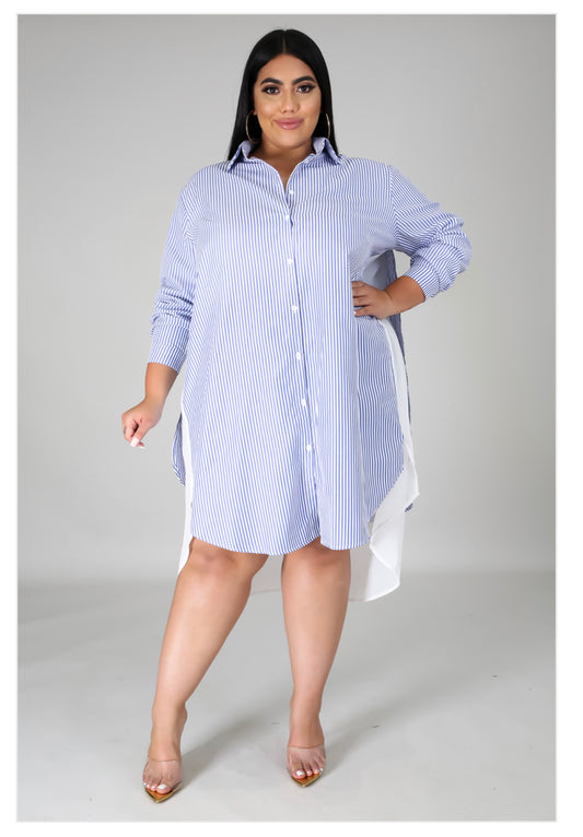 Plus Size Tunic Dress